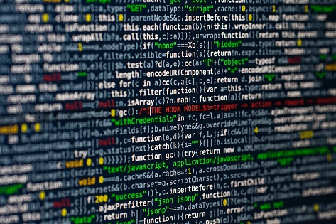 actively looking dot net developer